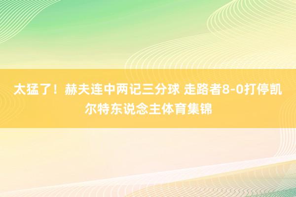 太猛了！赫夫连中两记三分球 走路者8-0打停凯尔特东说念主体育集锦