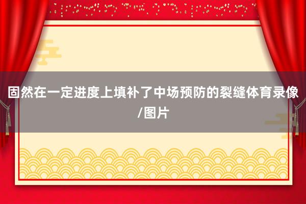 固然在一定进度上填补了中场预防的裂缝体育录像/图片