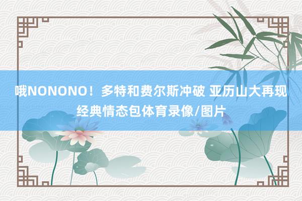 哦NONONO！多特和费尔斯冲破 亚历山大再现经典情态包体育录像/图片