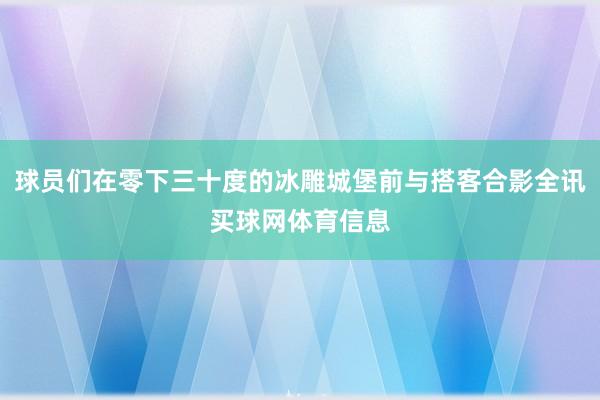 球员们在零下三十度的冰雕城堡前与搭客合影全讯买球网体育信息