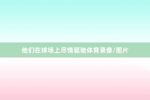 他们在球场上尽情驱驰体育录像/图片