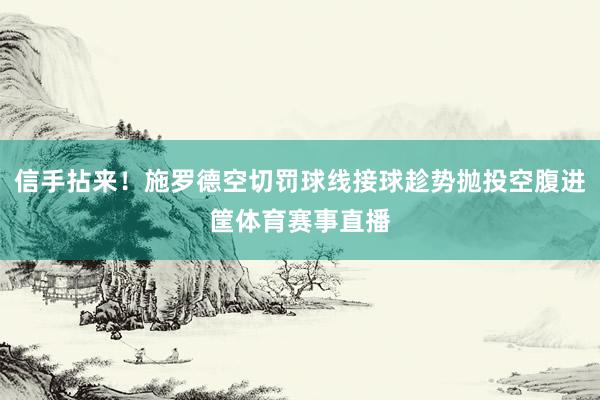 信手拈来！施罗德空切罚球线接球趁势抛投空腹进筐体育赛事直播