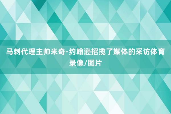 马刺代理主帅米奇-约翰逊招揽了媒体的采访体育录像/图片