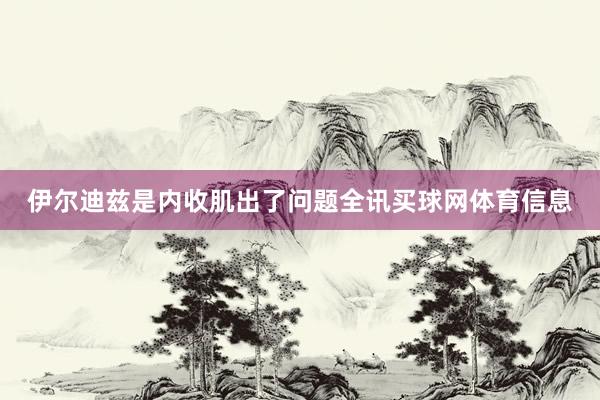 伊尔迪兹是内收肌出了问题全讯买球网体育信息