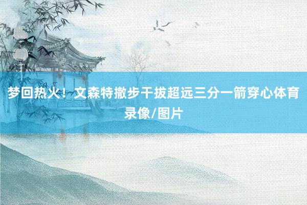 梦回热火！文森特撤步干拔超远三分一箭穿心体育录像/图片