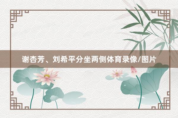 谢杏芳、刘希平分坐两侧体育录像/图片