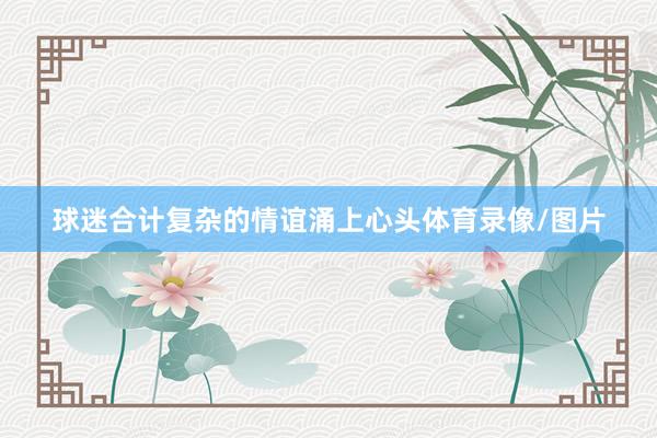 球迷合计复杂的情谊涌上心头体育录像/图片
