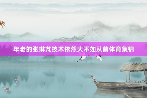 年老的张琳芃技术依然大不如从前体育集锦