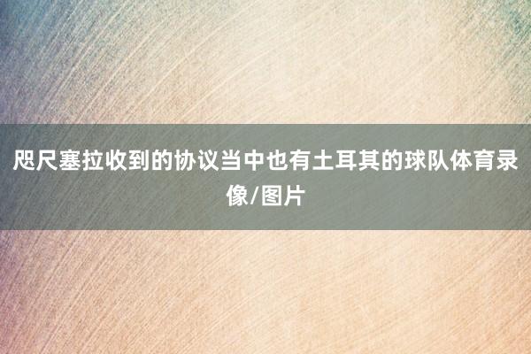 咫尺塞拉收到的协议当中也有土耳其的球队体育录像/图片
