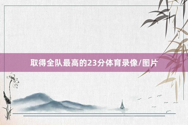 取得全队最高的23分体育录像/图片