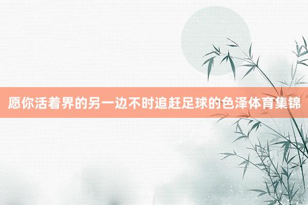 愿你活着界的另一边不时追赶足球的色泽体育集锦