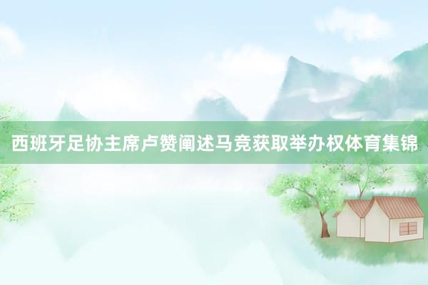 西班牙足协主席卢赞阐述马竞获取举办权体育集锦