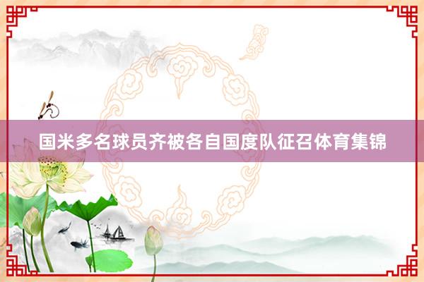 国米多名球员齐被各自国度队征召体育集锦