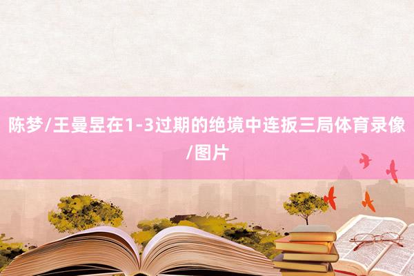 陈梦/王曼昱在1-3过期的绝境中连扳三局体育录像/图片