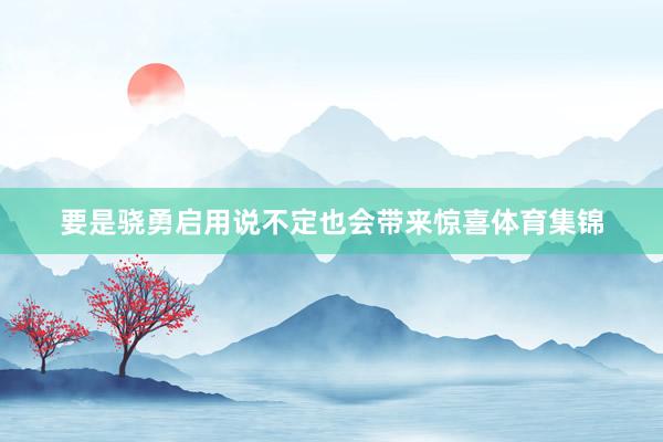 要是骁勇启用说不定也会带来惊喜体育集锦
