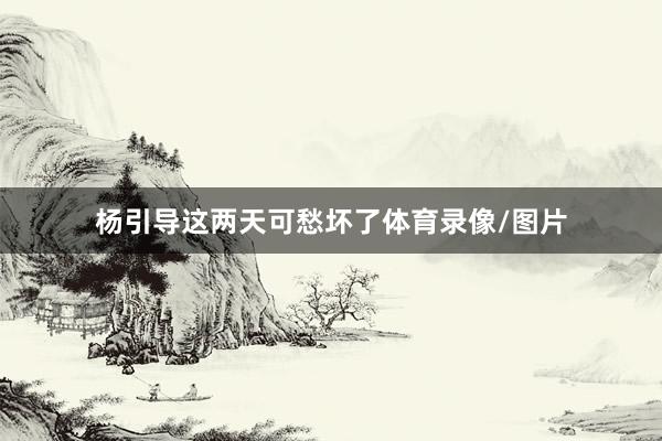 杨引导这两天可愁坏了体育录像/图片