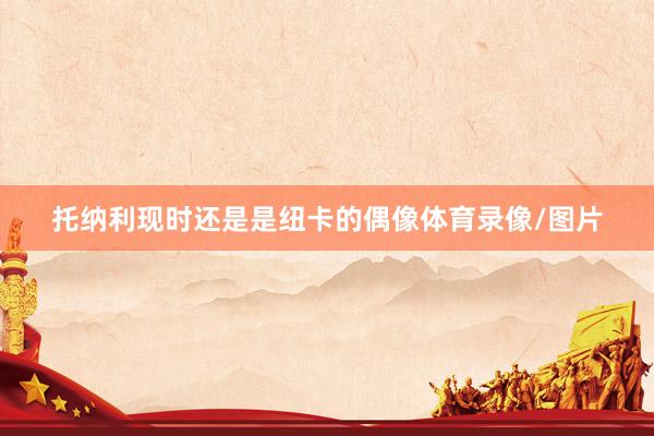 托纳利现时还是是纽卡的偶像体育录像/图片