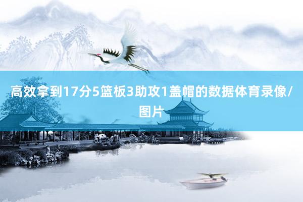 高效拿到17分5篮板3助攻1盖帽的数据体育录像/图片