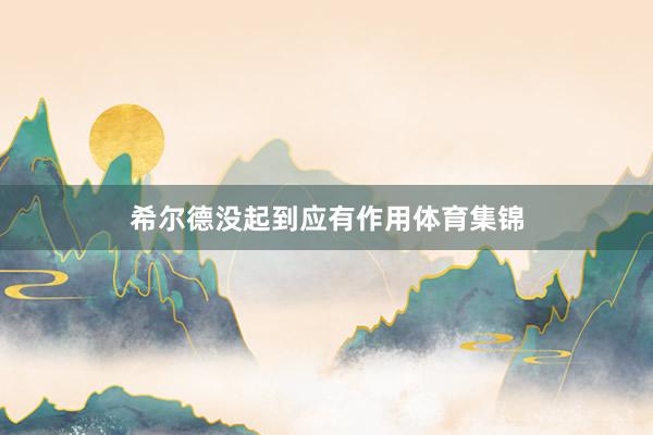 希尔德没起到应有作用体育集锦