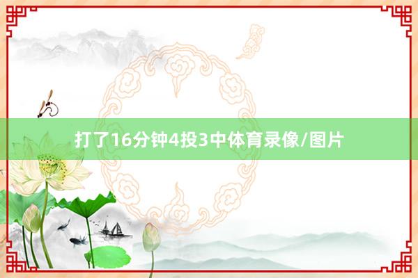 打了16分钟4投3中体育录像/图片