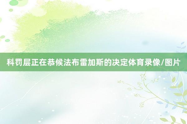 科罚层正在恭候法布雷加斯的决定体育录像/图片