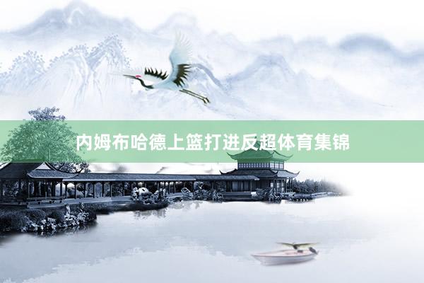 内姆布哈德上篮打进反超体育集锦