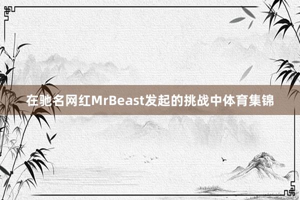 在驰名网红MrBeast发起的挑战中体育集锦