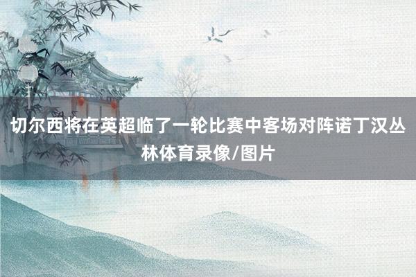 切尔西将在英超临了一轮比赛中客场对阵诺丁汉丛林体育录像/图片