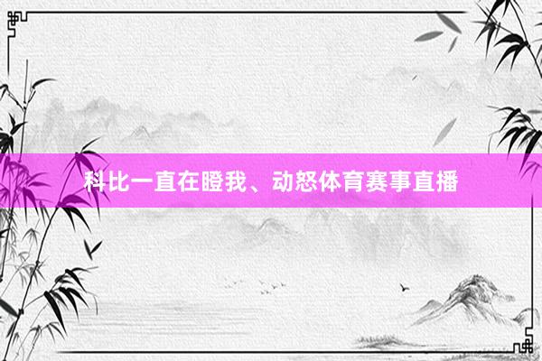 科比一直在瞪我、动怒体育赛事直播