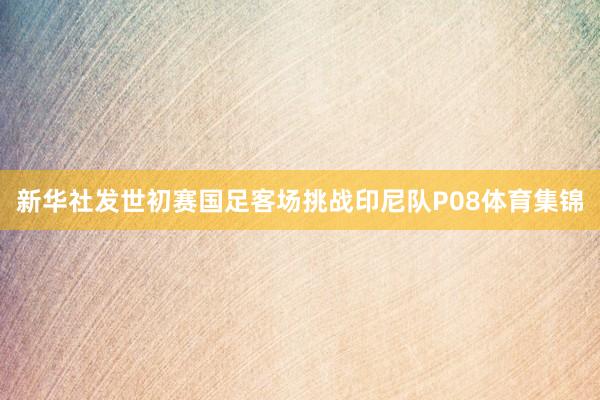 新华社发世初赛国足客场挑战印尼队P08体育集锦
