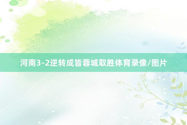 河南3-2逆转成皆蓉城取胜体育录像/图片