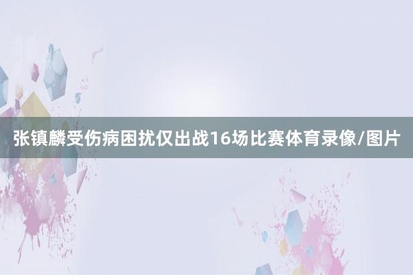 张镇麟受伤病困扰仅出战16场比赛体育录像/图片