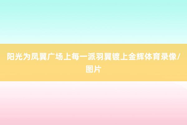 阳光为凤翼广场上每一派羽翼镀上金辉体育录像/图片