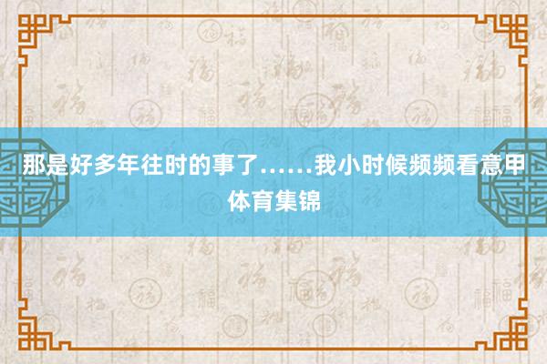 那是好多年往时的事了……我小时候频频看意甲体育集锦
