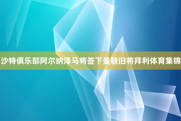 沙特俱乐部阿尔纳泽马将签下曼联旧将拜利体育集锦