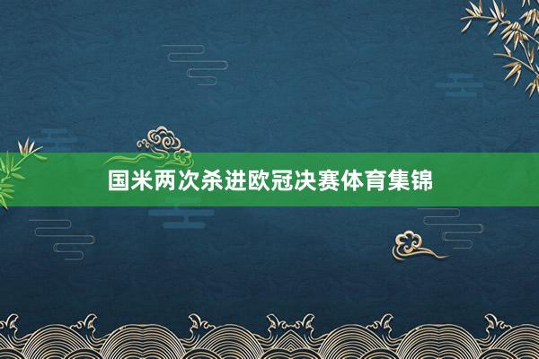 国米两次杀进欧冠决赛体育集锦