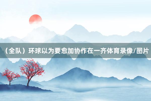 （全队）环球以为要愈加协作在一齐体育录像/图片
