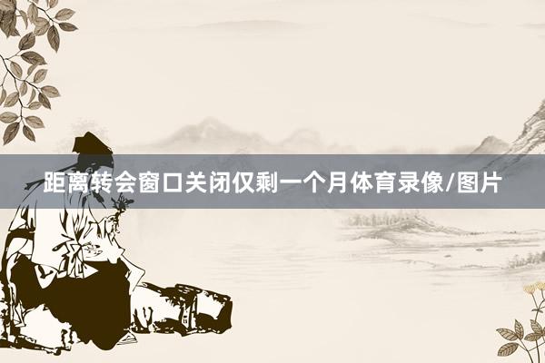 距离转会窗口关闭仅剩一个月体育录像/图片