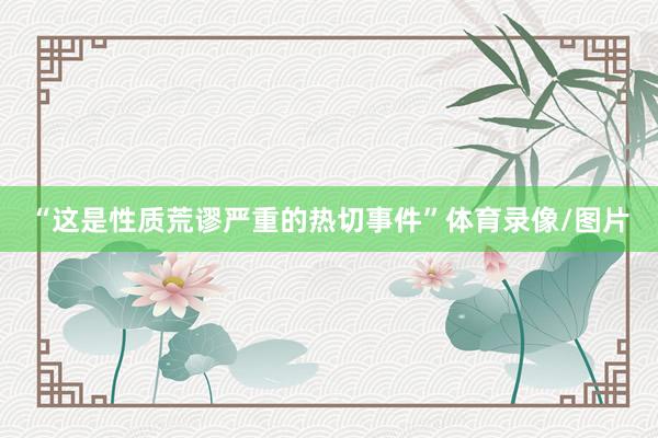 “这是性质荒谬严重的热切事件”体育录像/图片