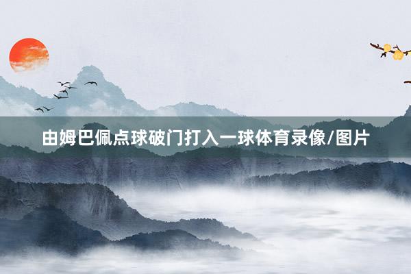 由姆巴佩点球破门打入一球体育录像/图片