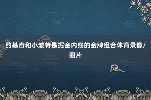 约基奇和小波特是掘金内线的金牌组合体育录像/图片
