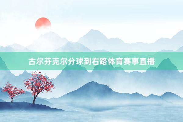 古尔芬克尔分球到右路体育赛事直播
