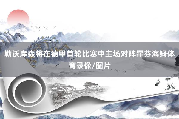 勒沃库森将在德甲首轮比赛中主场对阵霍芬海姆体育录像/图片