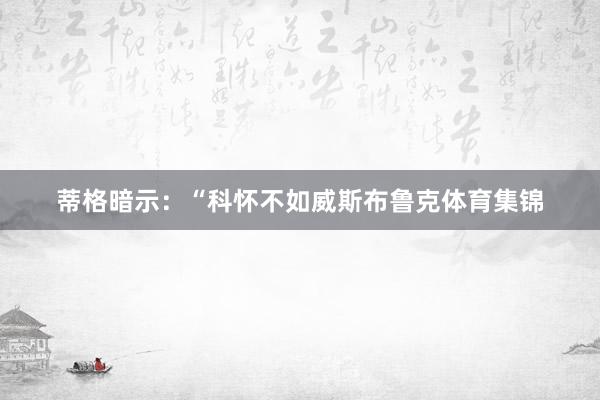 蒂格暗示：“科怀不如威斯布鲁克体育集锦