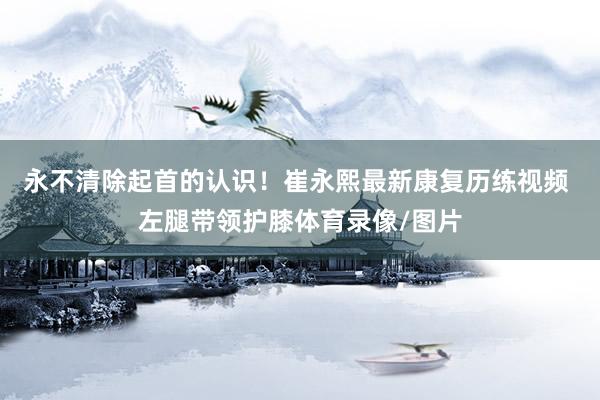 永不清除起首的认识!崔永熙最新康复历练视频 左腿带领护膝体育录像/图片