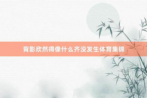 背影欣然得像什么齐没发生体育集锦