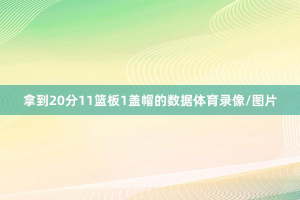 拿到20分11篮板1盖帽的数据体育录像/图片