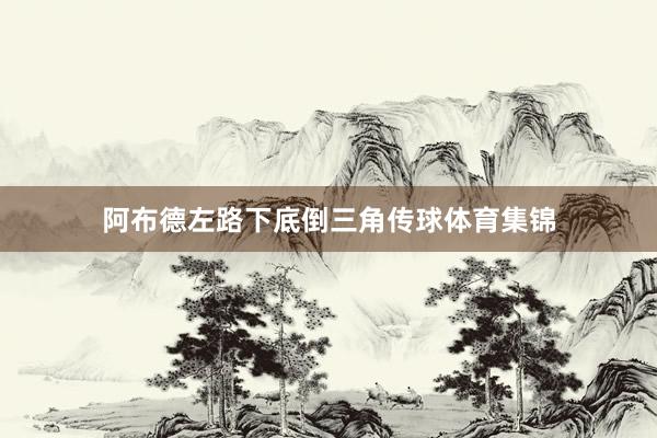 阿布德左路下底倒三角传球体育集锦