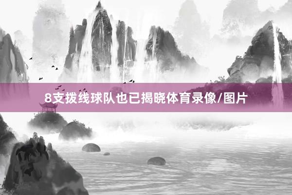 8支拨线球队也已揭晓体育录像/图片