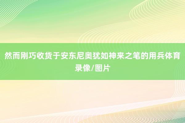 然而刚巧收货于安东尼奥犹如神来之笔的用兵体育录像/图片